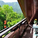 ネイチャー ルカンツ 3* ブレッド
