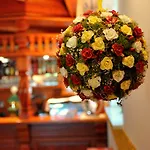 ネイチャー ルカンツ