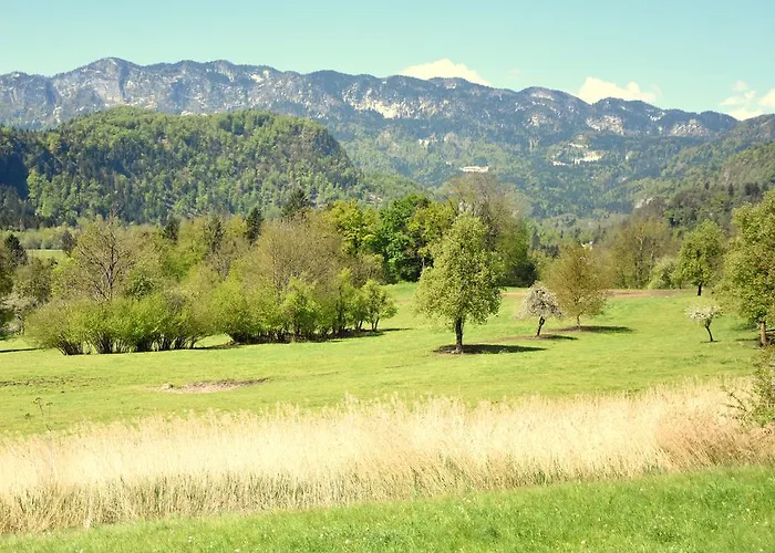 Nature Lukanc Μπλεντ